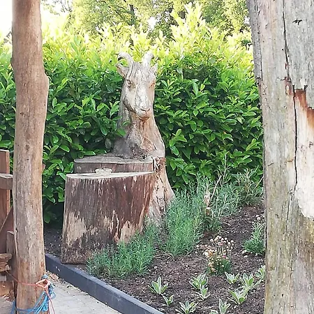 Logeren Bij De Soerensesteeg Uddel Buitenkant foto