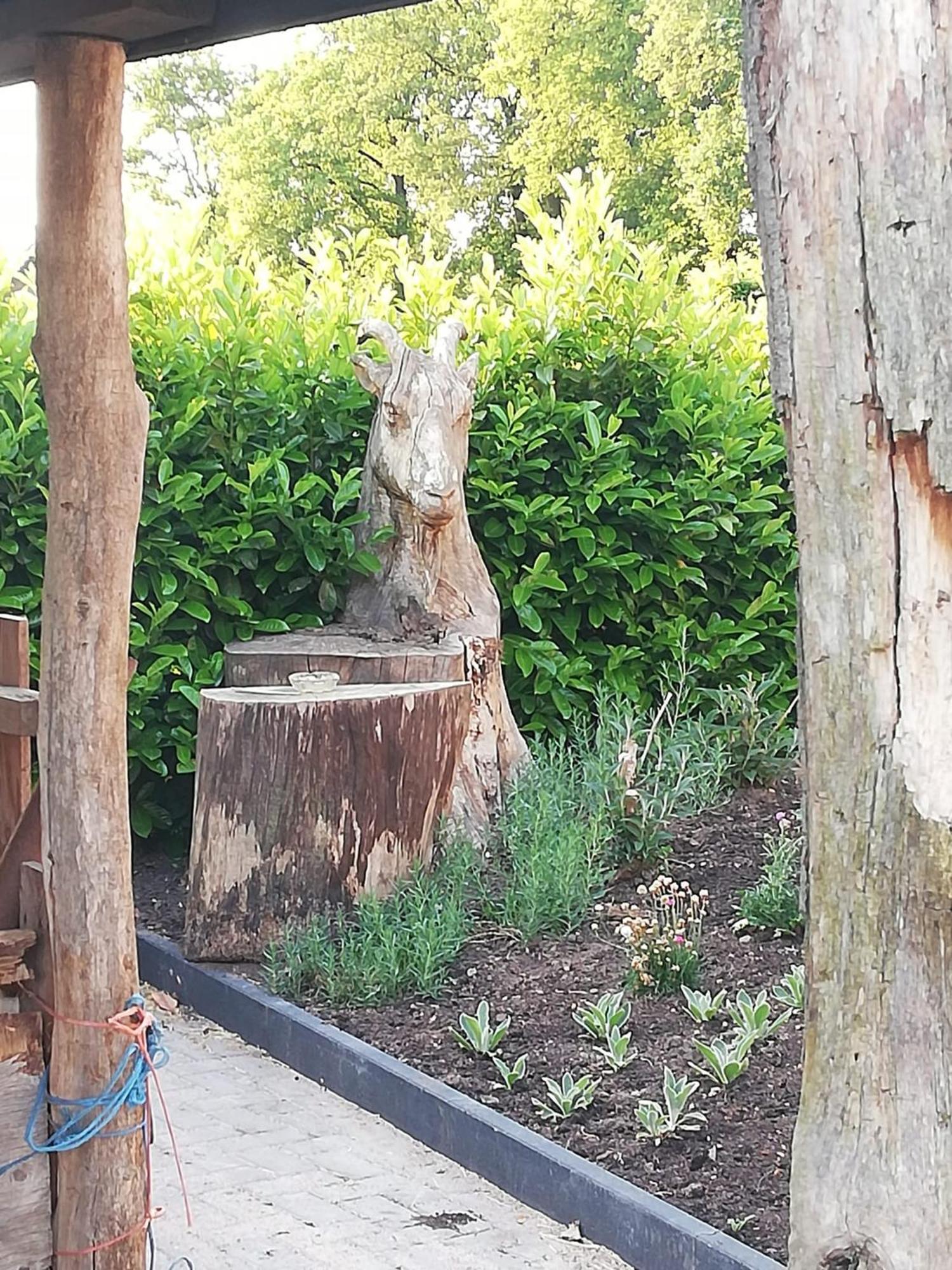Vakantiehuis Logeren Bij De Soerensesteeg